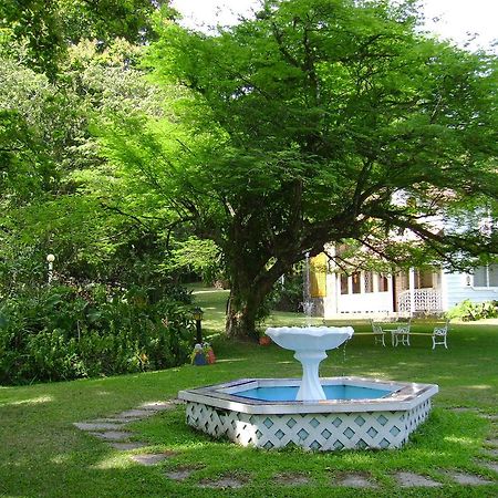 Park Eden Bed & Breakfast Los Llanitos Exteriér fotografie