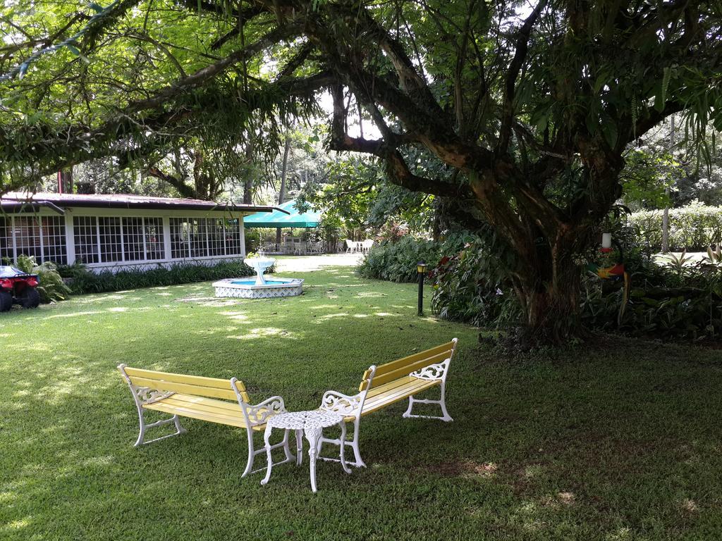 Park Eden Bed & Breakfast Los Llanitos Exteriér fotografie