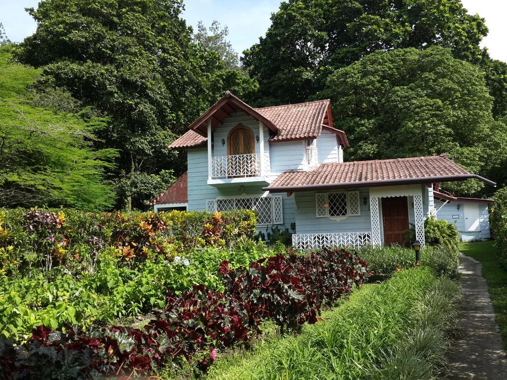 Park Eden Bed & Breakfast Los Llanitos Pokoj fotografie
