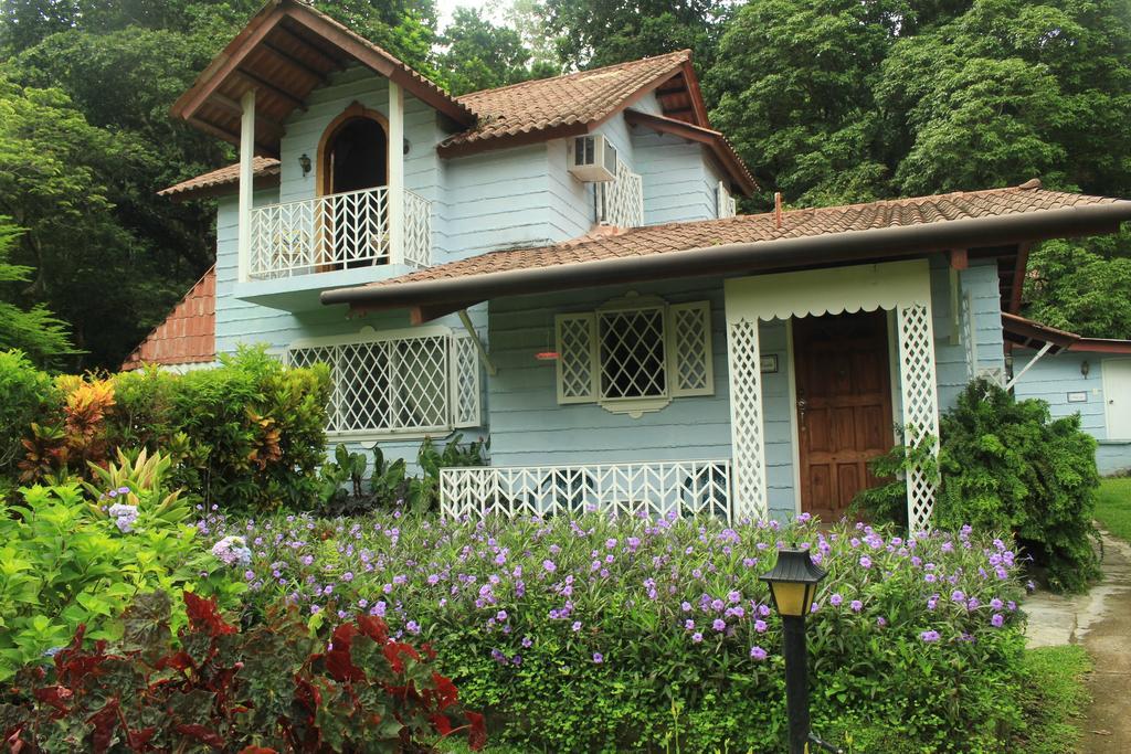 Park Eden Bed & Breakfast Los Llanitos Pokoj fotografie