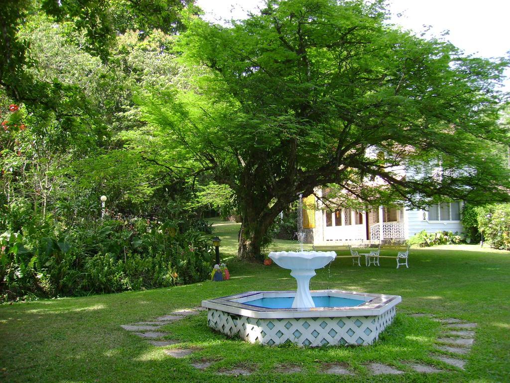 Park Eden Bed & Breakfast Los Llanitos Exteriér fotografie